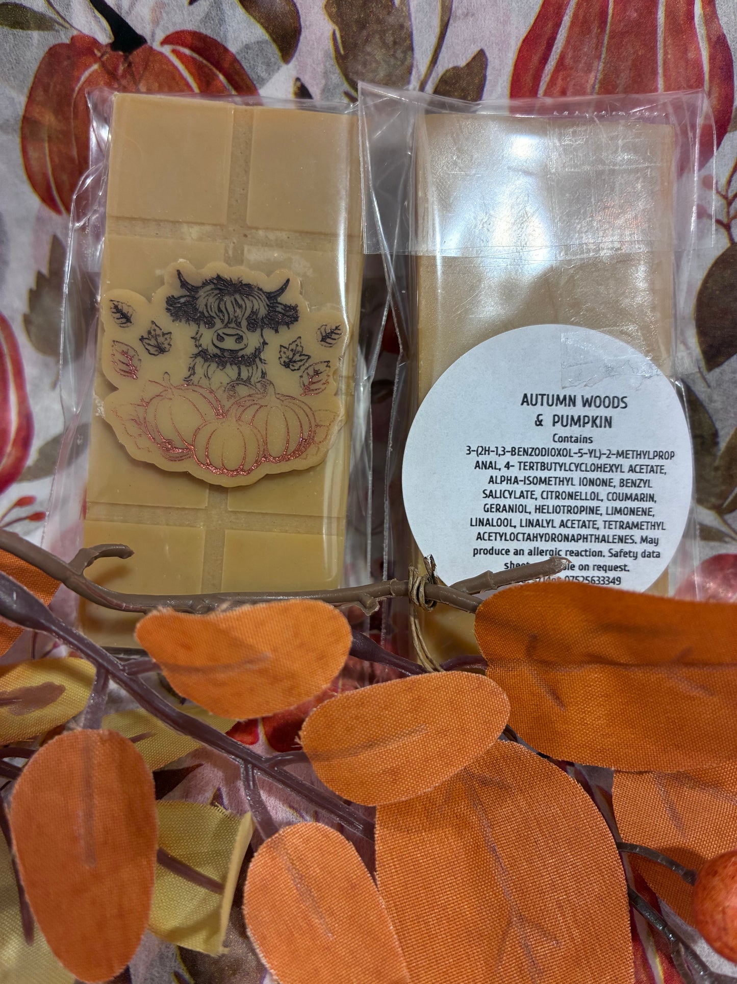 Autumn Woods and Pumpkin mini wax bar