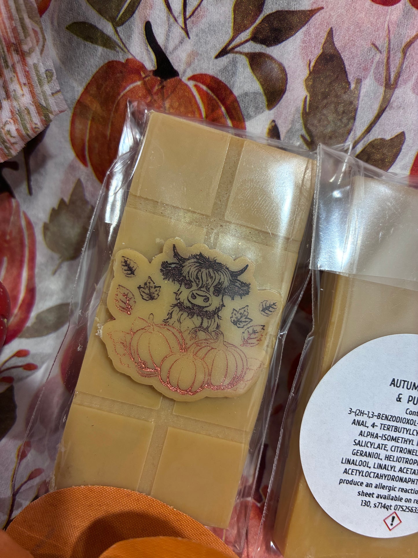 Autumn Woods and Pumpkin mini wax bar