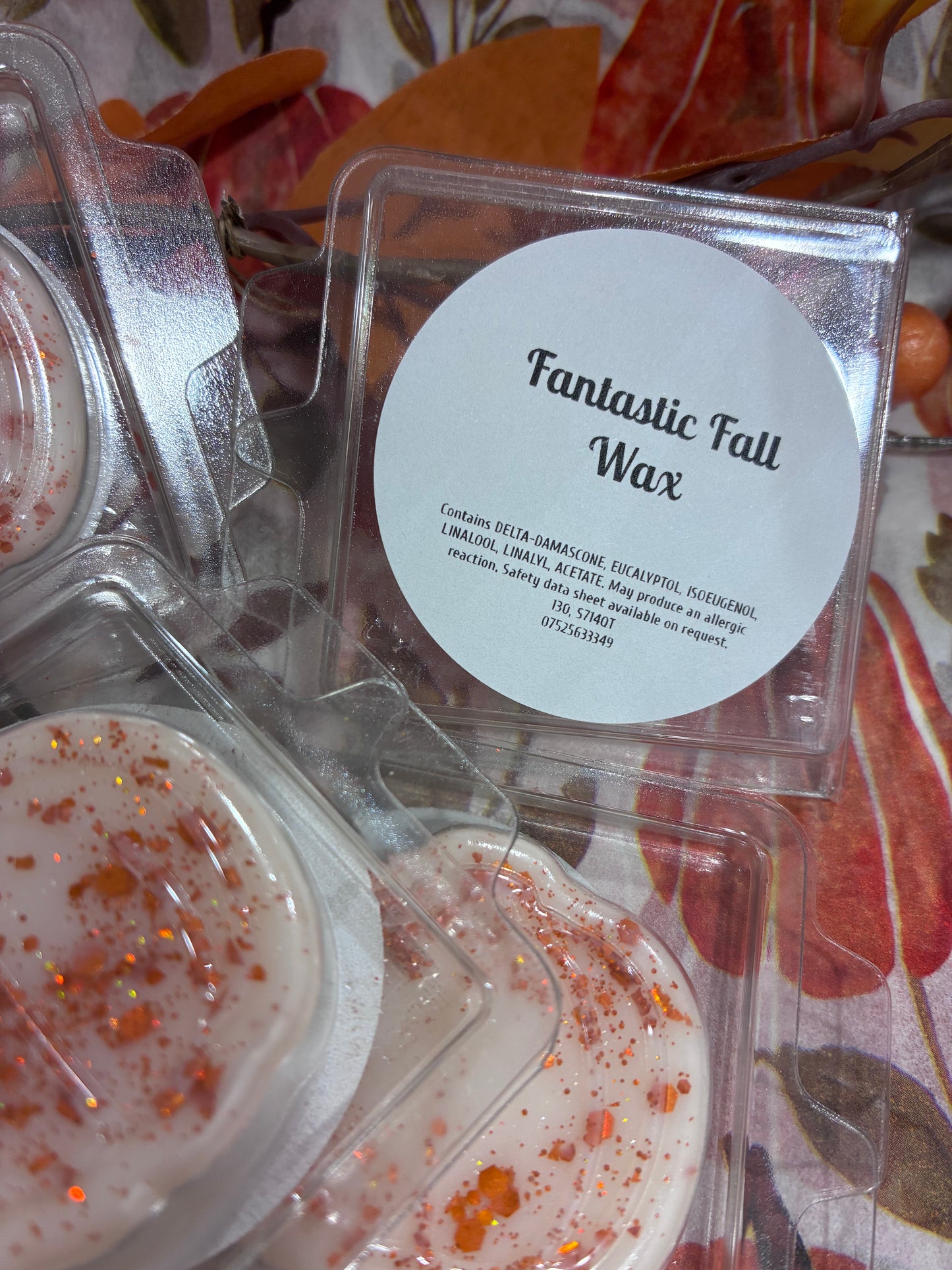Fantastic Fall Pumpkin clamshell wax melt