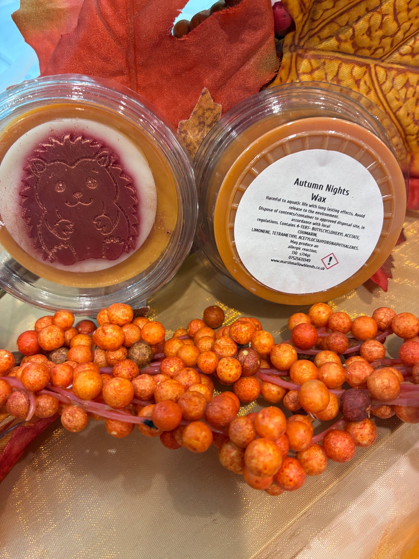Autumn nights Wax Melt 2oz Pot eco soya