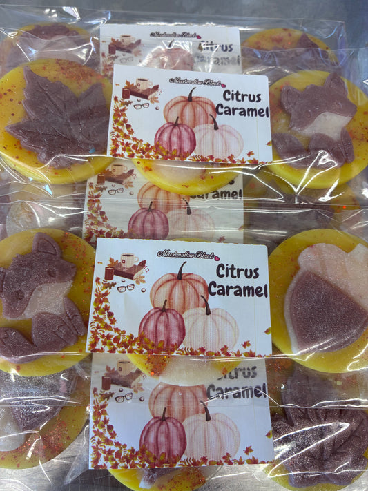 Citrus Caramel pack of 3 wax melt
