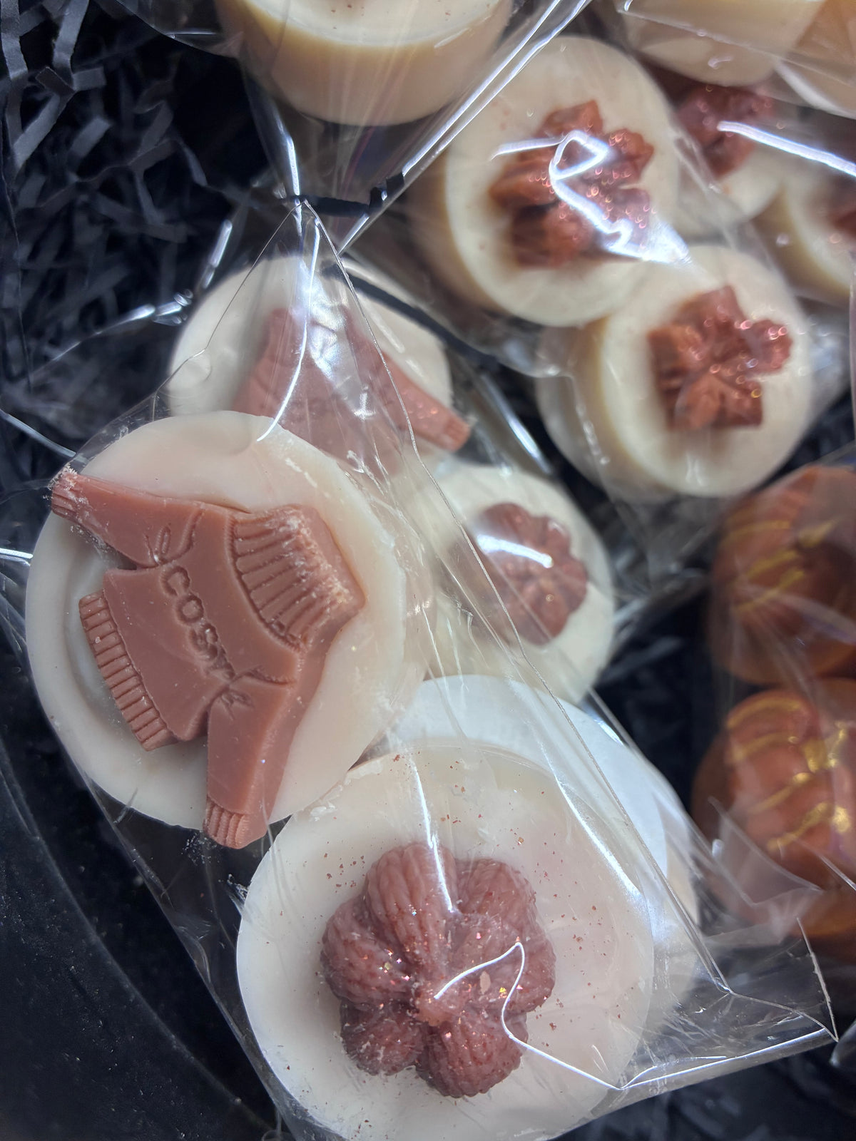 Autumn chunky shots pack of 2 wax melts