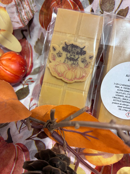 Autumn Woods and Pumpkin mini wax bar