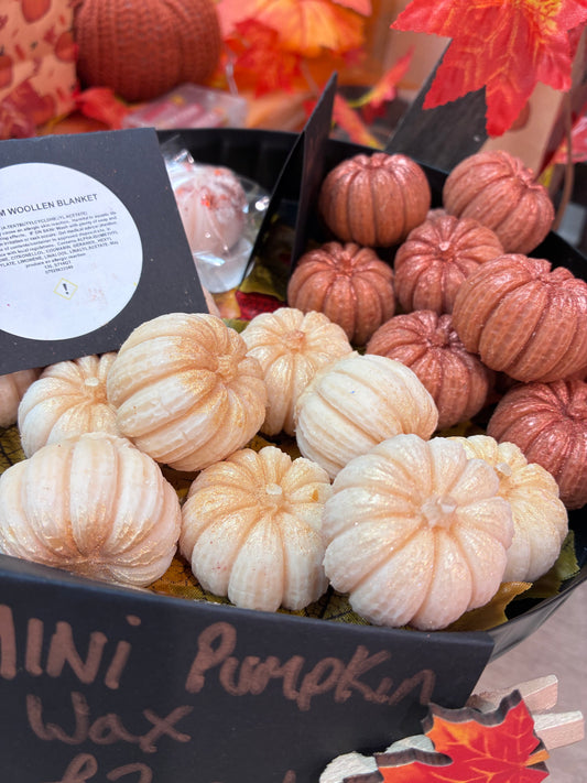 Warm Woollen Blanket Pumpkin Wax melt