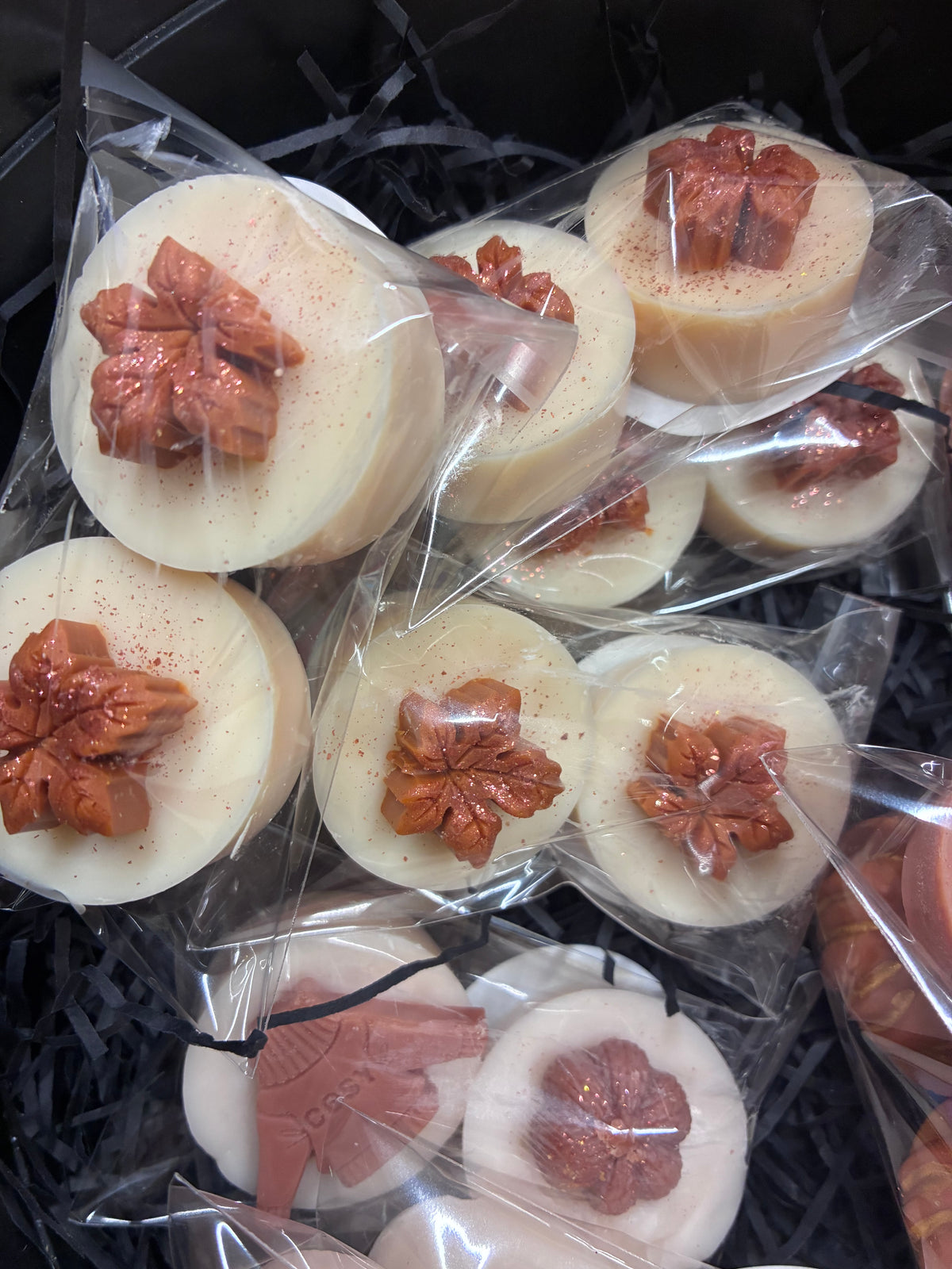 Autumn chunky shots pack of 2 wax melts