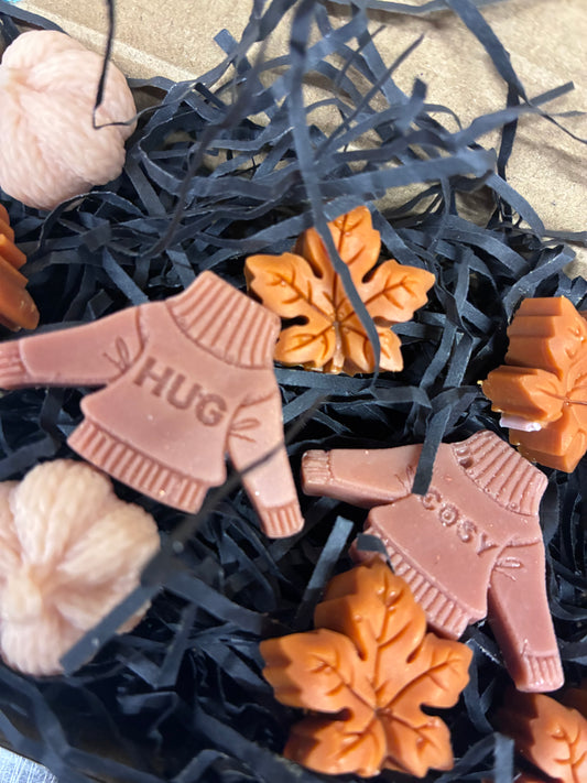 Hug in a box Mini Wax Melt gift