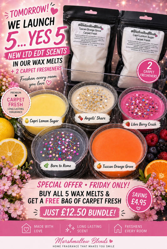 Wax melt bundle with free carpet deodoriser
