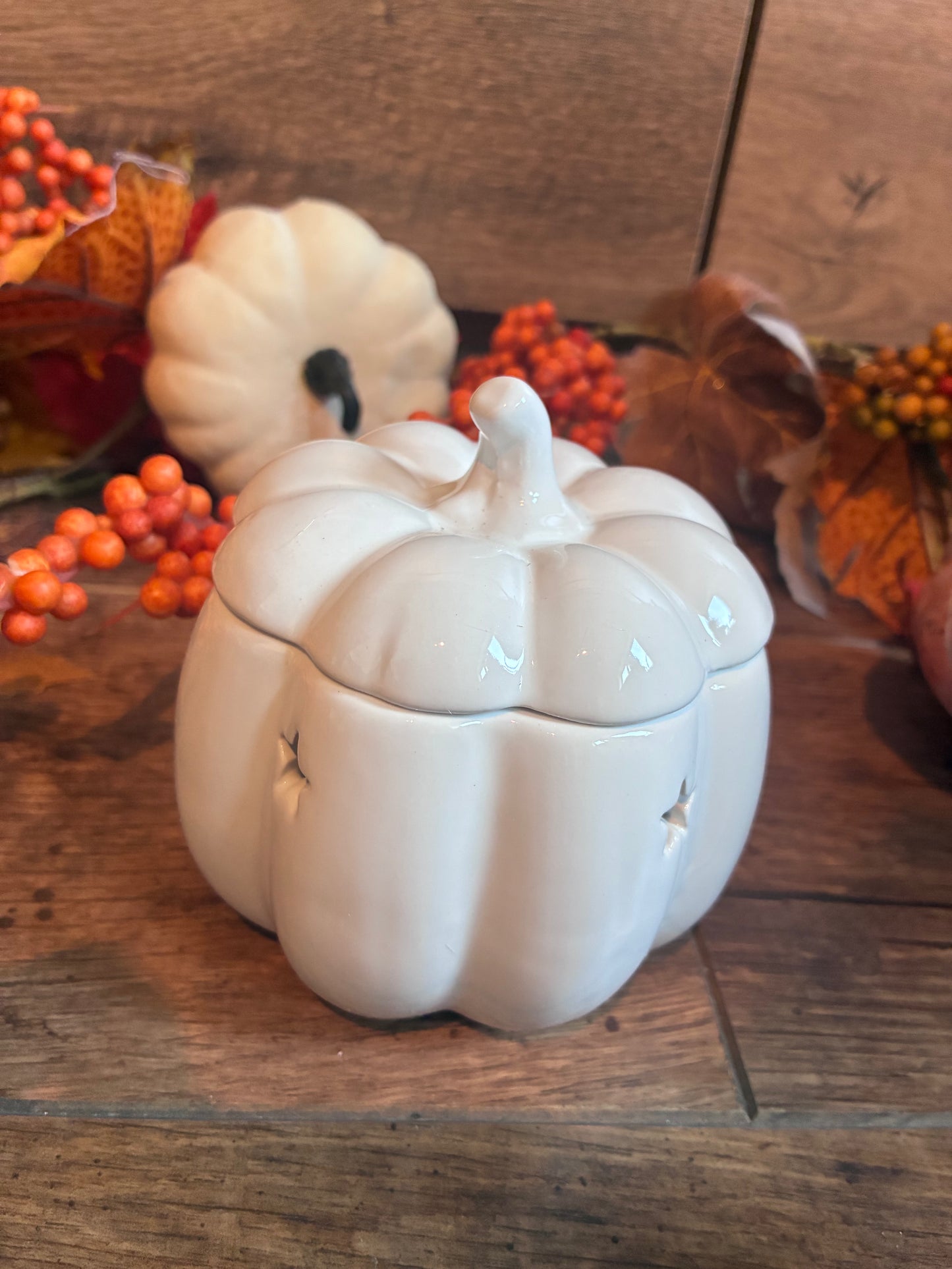 White pumpkin burner