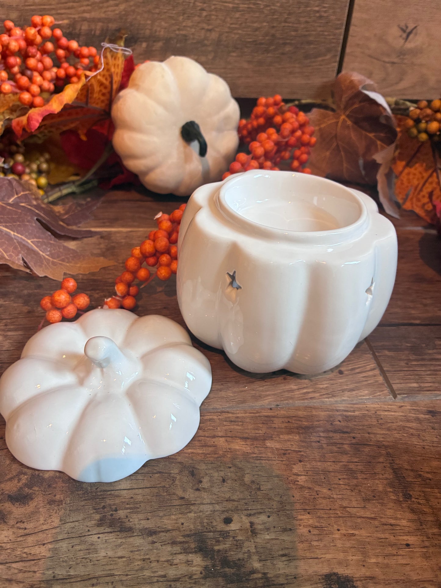 White pumpkin burner